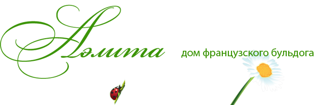 Аэлита - дом французского бульдога